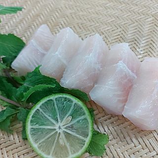 frozen-pangasius-cube-portion-cut-80921600245151