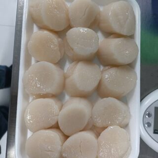Scallop meat