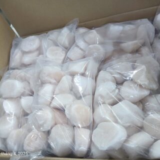 Scallop meat carton