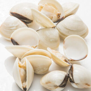 clams1